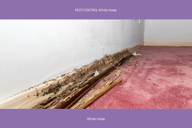 PEST CONTROL White Horse